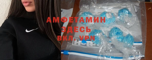 ГАЛЛЮЦИНОГЕННЫЕ ГРИБЫ Аркадак